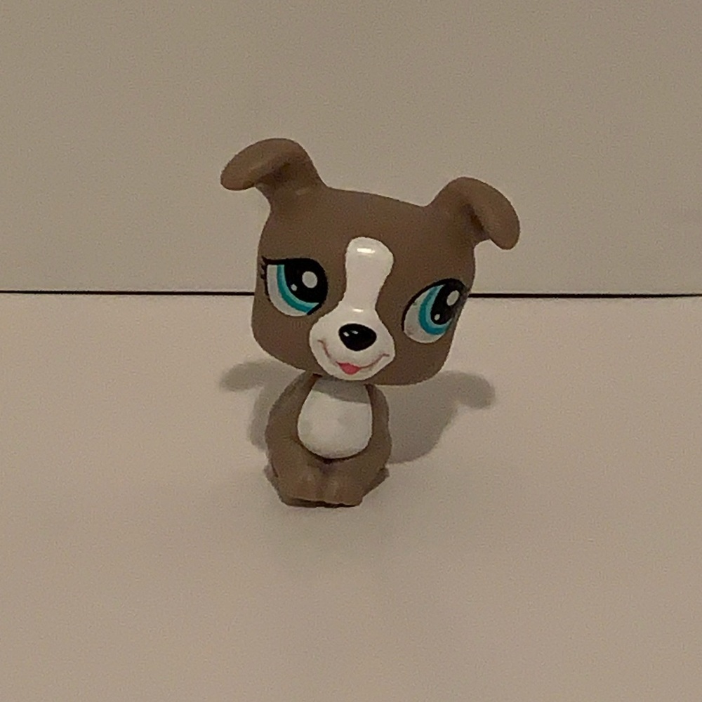 🐶 [4/$25] LPS LITTLEST PET SHOP #1463 GREY BOXER RUSSEL TERRIER DOG 🐶